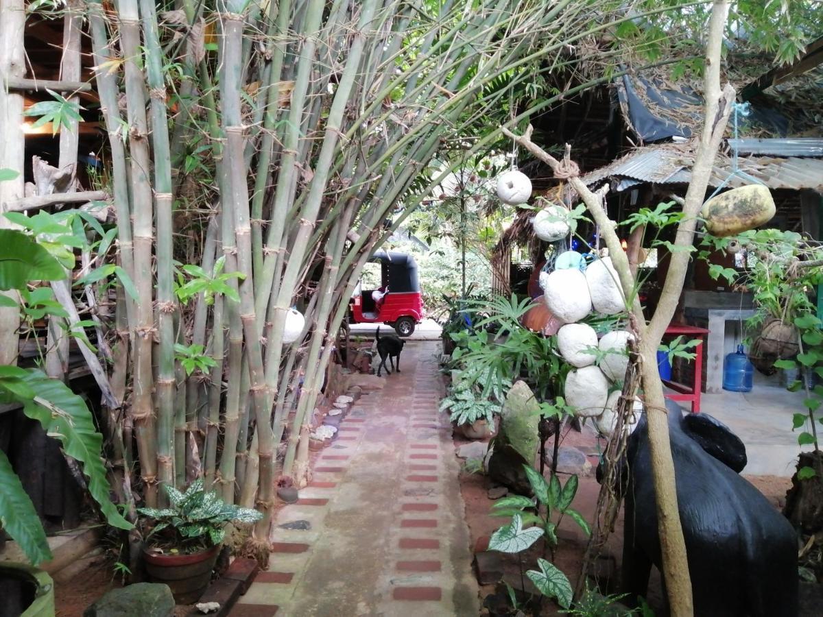 Chami'S Place Hikkaduwa Kültér fotó